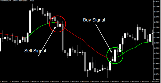 Forex Magnacon